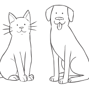 Cat and dog sitting next to each other posing the question who are you more like as a partner sharing game.