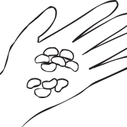 One hand with beans in the palm as seen in fun large group ice-breaker game called Jelly Bean Trade game