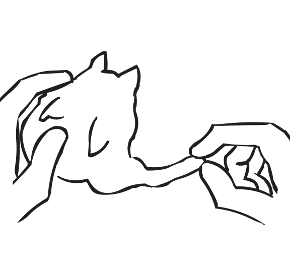 Two hands manipulating plasticine as part of Play-dough Debrief creative reflection exercise