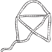 Length of rope configured to look like the rope puzzle challenge of Rope House