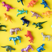 Plastic animals with diver group needs. Credit rawpixel