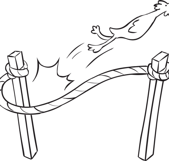 Fun outdoor group game Flungee activity