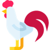 Illustration of a rooster