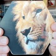 Mark holding lion photograph to inspire story-telling game