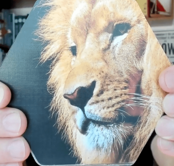 Mark holding lion photograph to inspire story-telling game