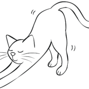 Illustration of cat stretching as part of Breathe and Stretch