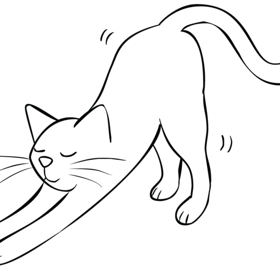 Illustration of cat stretching as part of the mindful breathing exercise for groups Breathe and Stretch