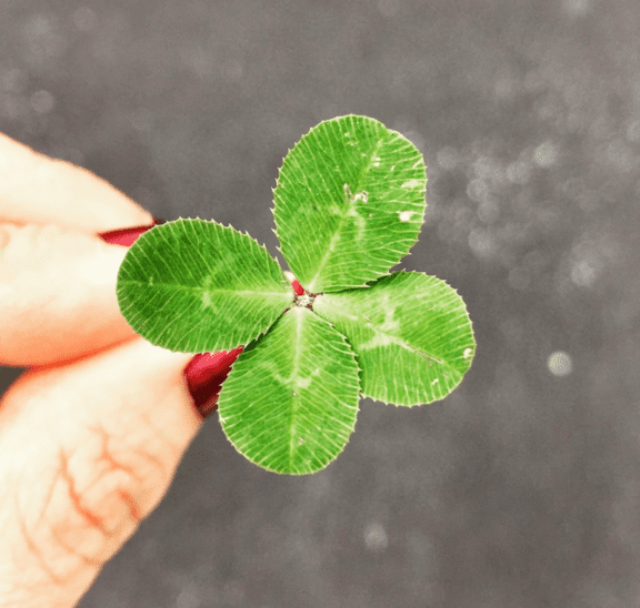 Woman holding four-leaf clover in optopia world
