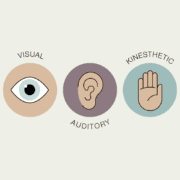 See hear feel reflection matrix model
