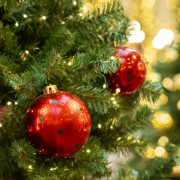 Christmas wishes and gratitude 2025