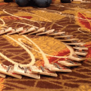 Set-up of a circle of live mousetrap dominoes