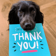 Dog with Thank You card knowing how to give positive feedback