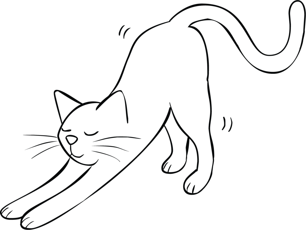 Illustration of cat stretching as part of Breathe and Stretch