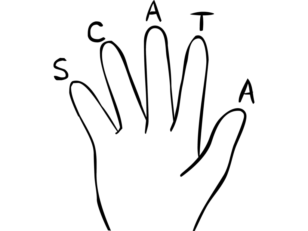 Hand with five finger contract letters