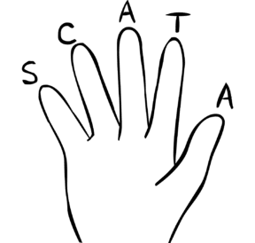Hand with five finger contract letters