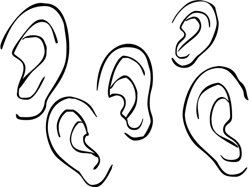 Set of ears as used in active listening