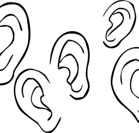 Set of ears as used in active listening