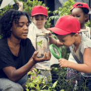 environmental education with young people