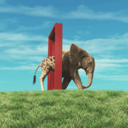 Organisational change of giraffe into elephant