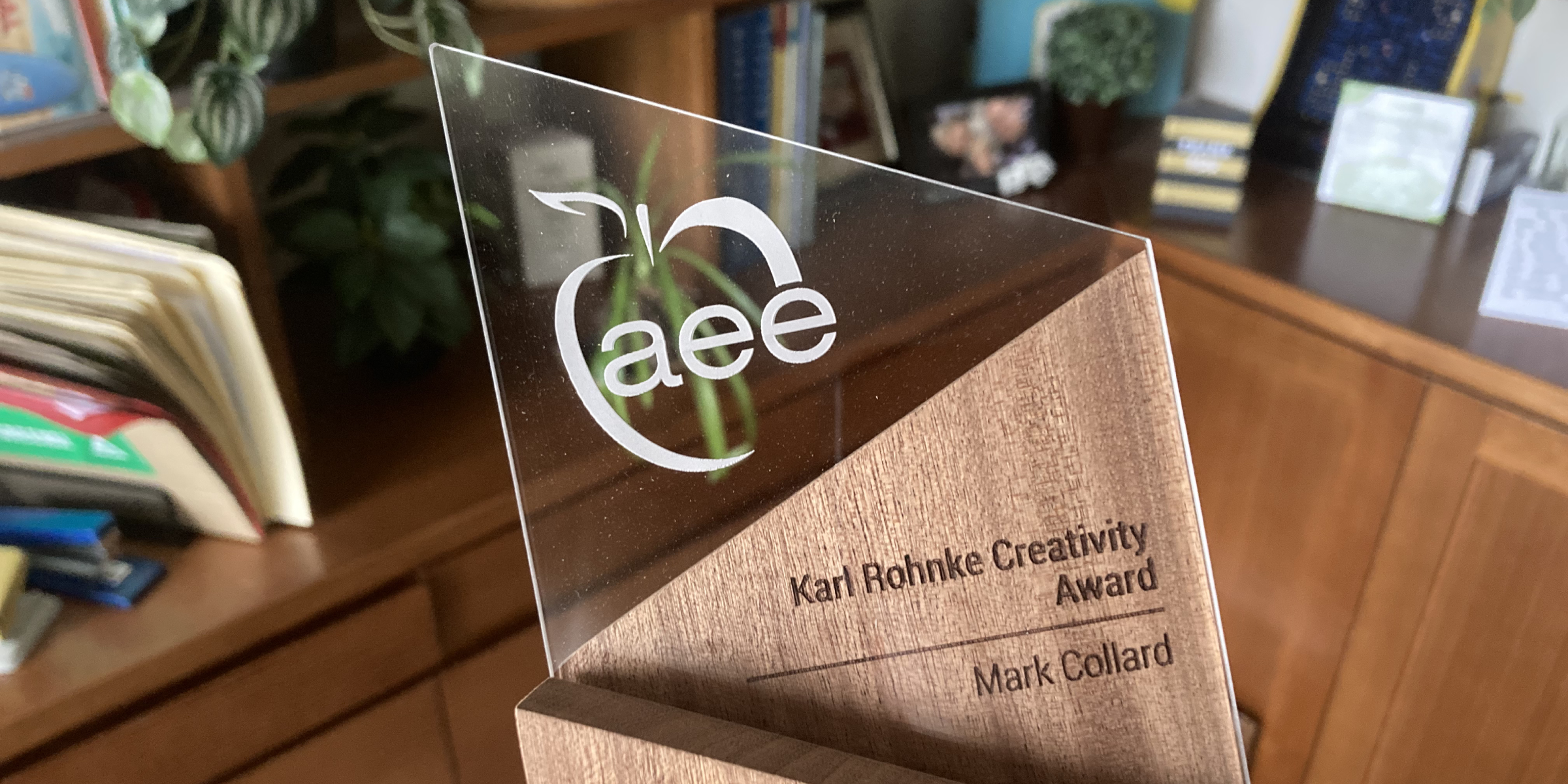 AEE Karl Rohnke Creativity Award 2025