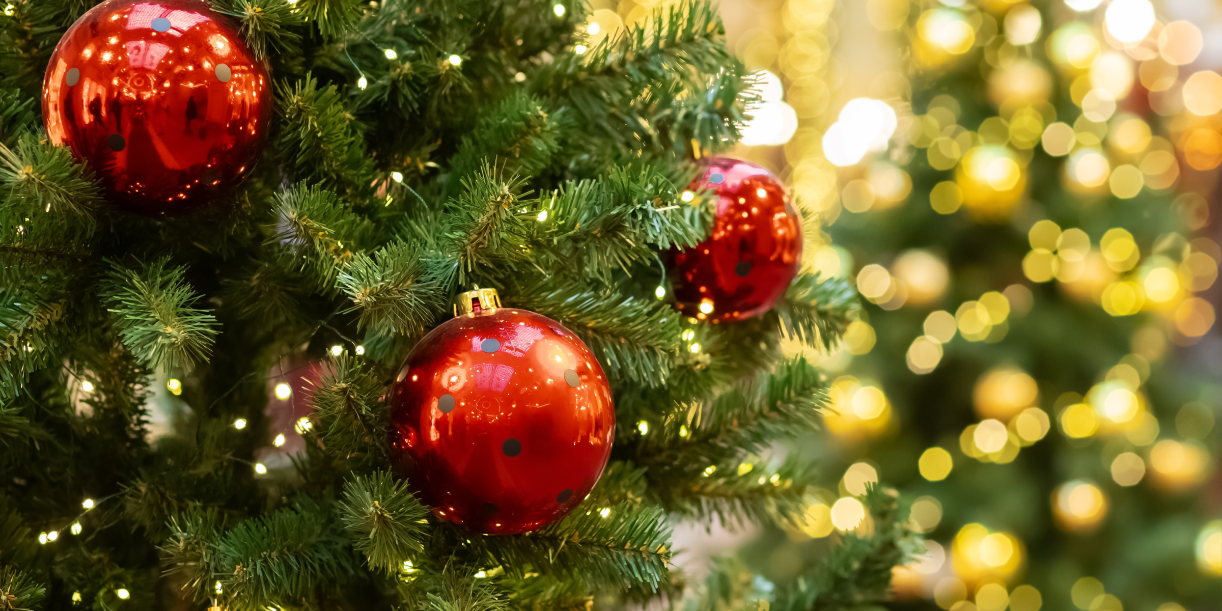 Christmas wishes and gratitude 2025